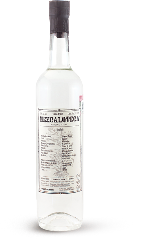 Mezcalosfera Bicuixe Felipe de Jesus Cortes