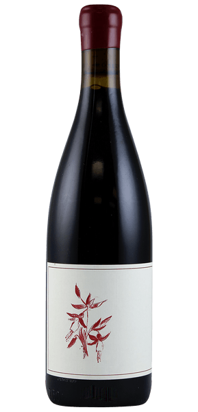 Arnot Roberts, Syrah