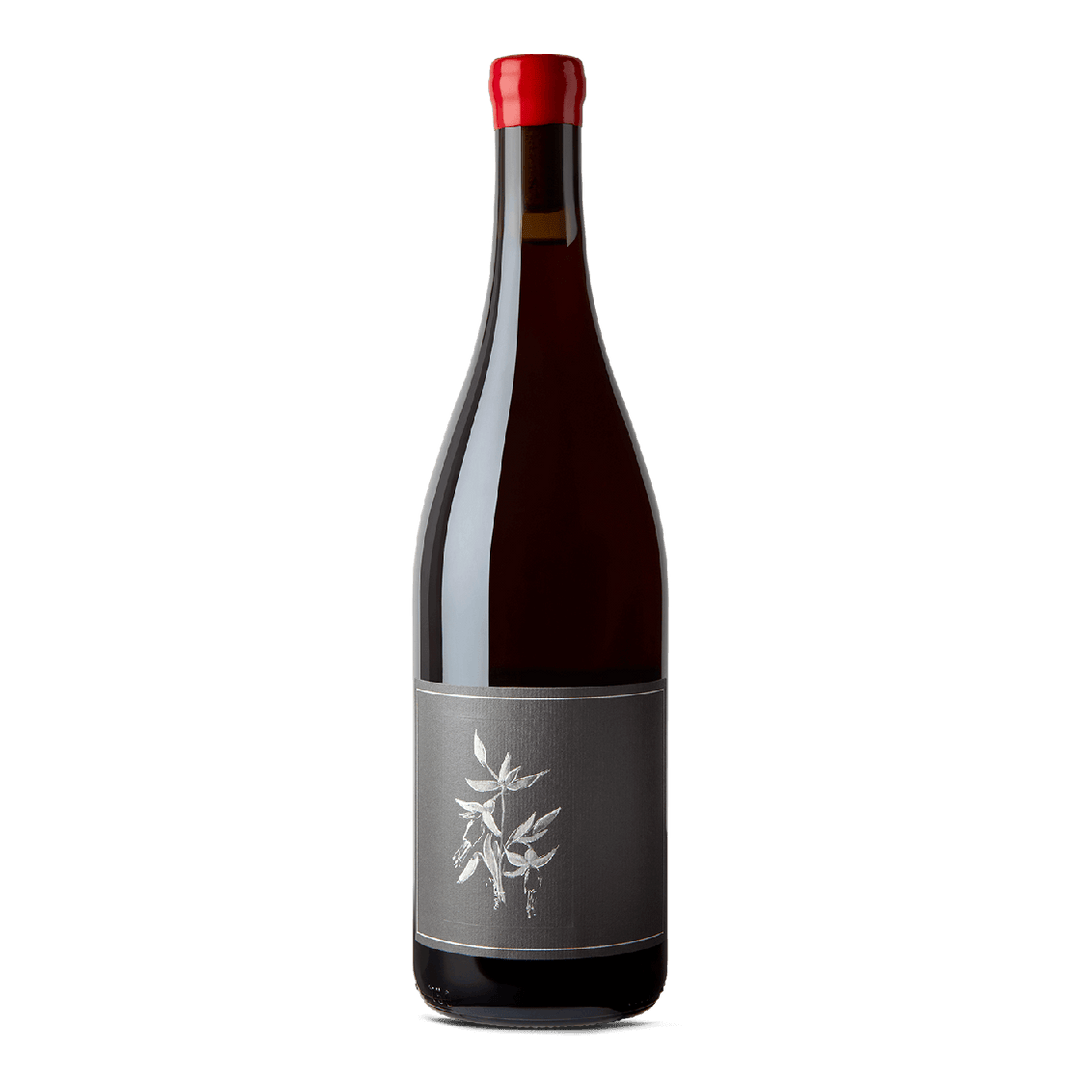 Arnot-Roberts North Coast Trousseau 2023