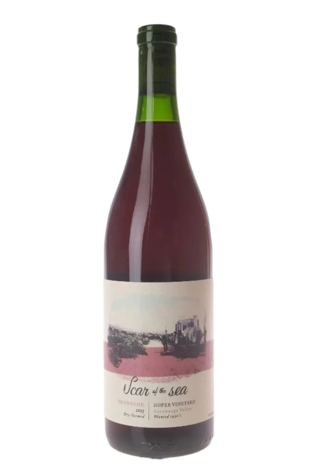 Scar of the Sea "Hofer Vineyard" Grenache 2023