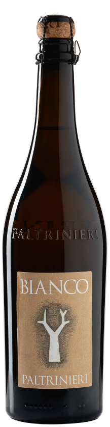 Paltrinieri Bianco Frizzante 2024